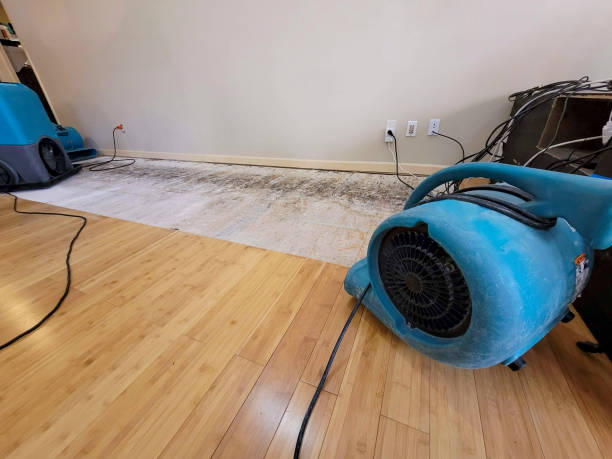 Professional Water Removal technician working in Florence, OR